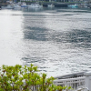 Отель The Sea In Izu, фото 16