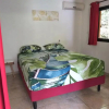 Отель Matatia Valley Guest House, фото 9