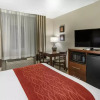 Отель Comfort Inn Fontana, фото 31