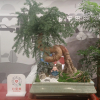 Отель Shangkeyou Hotel (Xianyang Qin Dou Beishangzhao Branch), фото 34