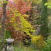 Отель La Casita con jardín frente a la cascada, фото 2