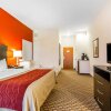 Отель Comfort Inn & Suites, фото 7