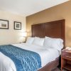 Отель Comfort Inn & Suites - Hannibal, фото 10