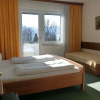 Отель Pension Druml, фото 4