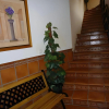 Отель Hostal Infantes, фото 11