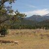 Отель Longs Peak Lookout Cabin - 3 Br Cabin, фото 21