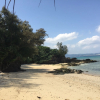 Отель Shirahama Hotel, фото 17