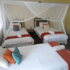 Отель Tsumkwe Country Lodge, фото 4
