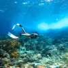 Отель Coral Eye, фото 20