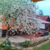 Отель Gostynnyi Dvir u Marichky, фото 24