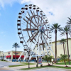 Отель The Wharf 902 by Youngs Suncoast, фото 23