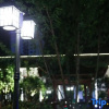 Отель Dongjiangyuan Garden Hotel, фото 11