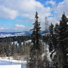 Отель Willa Bukovinka - 1500m do Termy, 100m do wyciągów, фото 22