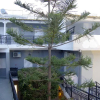 Отель Fira Vista Hotel, фото 21