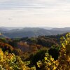 Отель Weingut Winzerzimmer Rothschädl, фото 18