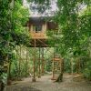 Отель Tree Houses Hotel Costa Rica в Сан-Карлосе