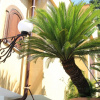 Отель Villa Amalia Resort, фото 25