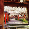 Отель Kyoto Villa Fengling, фото 28