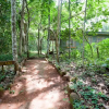 Отель Budongo Eco Lodge, фото 5