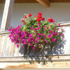 Отель Chalet With Terrace in Niederndorf/kufstein, фото 5