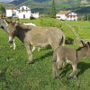 Отель Casa Rural Iribarrenea, фото 3