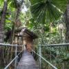 Отель Daintree Wilderness Lodge, фото 10