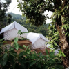 Отель D Jungle Dabas Cottages, фото 8