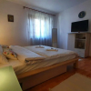 Отель Vila Panselutelor 6, фото 4