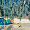 Отель Tunis Tone - Tunis Village Campsite, фото 4
