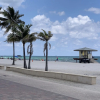 Отель The Palms, фото 35