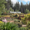 Отель Helena Harrachov, фото 1