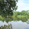 Отель Muang Kham House, фото 11