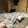 Отель Guest House Salt Beach, фото 11