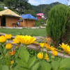Отель Himalayan Huts Dhanauli, фото 4