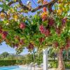 Отель Casa La Palmera, фото 10