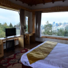 Отель The Alpine Chalet Resort, фото 20