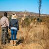 Отель Kololo Game Reserve, фото 18