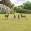 Отель Wotton House, фото 18