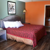 Отель Florence Inn and Suites, фото 4