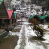 Отель Manali Picnic Spot And Camps, фото 5