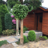Отель Veluwe Park Reewold Chalet Infinity, фото 1
