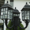 Отель Diyathala Regency Boutique Hotel, фото 31