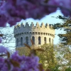 Отель Willowbrook Bed and Breakfast, фото 36