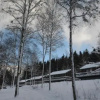 Отель Chalet Le Forestier, фото 1
