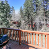 Отель Ski Bunny Lodge, фото 11