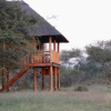 Отель nThambo Tree Camp, фото 15