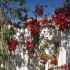 Отель Roof-top garden apartment really well located in Athens, фото 1