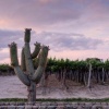 Отель El Porvenir Casa de Bodega, фото 31