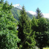 Отель Appartement Chamonix-Mont-Blanc, 1 pièce, 4 personnes - FR-1-517-40, фото 6