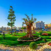 Отель Olive Tree Amman, фото 1